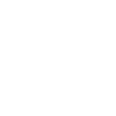Main Logo